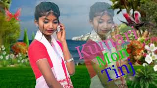 KUMARI MON TINJ NEW SANTALI TRADITIONAL SONG 2024 [upl. by Slaohcin756]