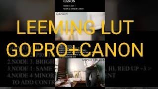 Matching GoPro and Canon footages with Leeming LUT for GoPro 7 Black amp Leeming LUT for Canon EOS [upl. by Isabeau]