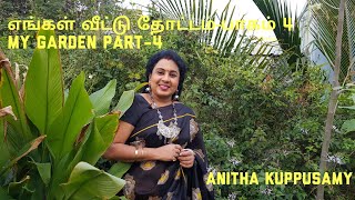 எங்கள் வீட்டு மொட்டை மாடித் தோட்டம்  Anitha Kuppusamy TERRACE GARDEN PART  4 [upl. by Ertnom362]