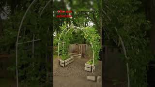 Easy and cheap trellis for creepers and climbers plants short video  you tube video [upl. by Gamaliel923]