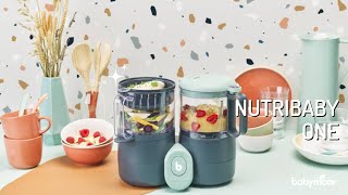 Easy to Use Babymoov Nutribaby ONE  A Must Have Kitchen Item [upl. by Neeneg]