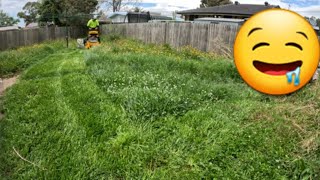 Perfect Mowing of Backyard Meadow [upl. by Airpac]