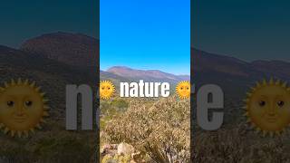 flinders ranges np [upl. by Nethsa]