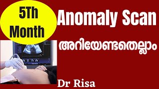 Anomaly Scan in Pregnancy malayalam  5 Month scanning During Pregnancy  Second Trimester Scan [upl. by Akcirre890]