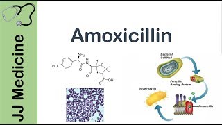 Amoxicillin  Bacterial Targets Mechanism of Action Adverse Effects  Antibiotic Lesson [upl. by Cad944]