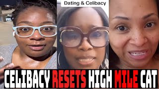 Modern Women Celibacy CON  MGTOW  Dont Believe Them [upl. by Rist]