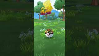 Toxapex pokemon pokemongo viralvideo pokemongameplay shinypokemon gameplaypokemon [upl. by Eissirc]