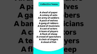 Collective Nouns  Grammar collectivenouns [upl. by Eveneg]