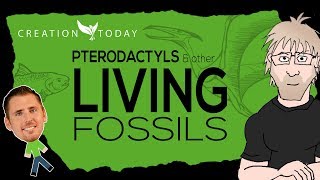 Pterodactyls and other Living Fossils  Creation Today Claims [upl. by Allimac693]