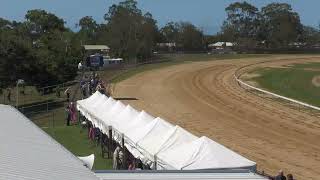 Bundaberg 20241105 Race 1 [upl. by Ecela]