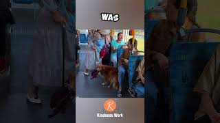 Dog retrieves mans hat on bus shorts [upl. by Enelav]