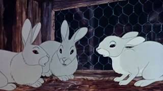 Watership Down 1978 Movie Trailer  John Hurt Richard Briers amp Ralph Richardson [upl. by Maddy]