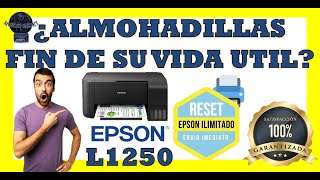 ✅ SOLUCION A 👉Almohadillas fin de su vida útil👈 🖨️ Epson Reset L 1250 [upl. by Ahseal630]