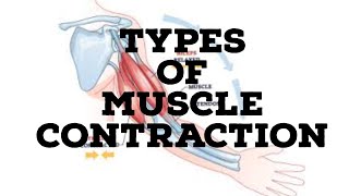 Types of muscle contraction [upl. by Susanetta]