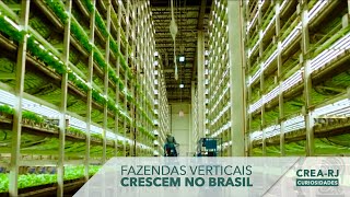 Fazendas verticais crescem no Brasil l CreaRJ Curiosidades [upl. by Tonya]