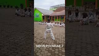 GIBON POOMSAE 1 2 DAN 3 [upl. by Warner255]