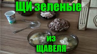 ЩАВЕЛЕВЫЙ суп с яйцом как приготовить Секрет Приготовления Зеленого Борща  супа из ЩАВЕЛЯ [upl. by Yrkcaz]