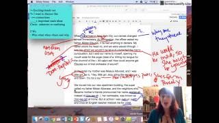 Literary Annotation Practice [upl. by Yelraf]