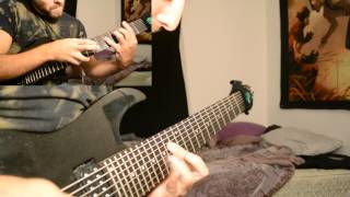 Summer Rain  Clean 8 String Guitar Arrangement Ibanez RG2228 Pod HD500 [upl. by Erodisi]