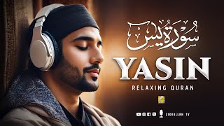 Stunning recitation of Surah Yasin Yaseen سورة يس  Relaxing Soft Voice  Zikrullah TV [upl. by Llertnov476]