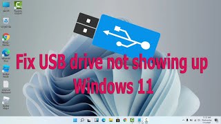 How to fix USB drive not showing up windows 11 [upl. by Madriene949]