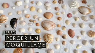 Tuto Comment percer un coquillage  Monter en bijou ses souvenirs de vancances [upl. by Aenet]