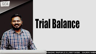 Trial Balance  Lecture 01 [upl. by Nosreip]