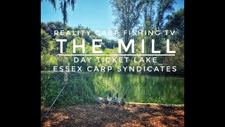 Reality Carp Fishing TV  The Mill Day Ticket Lake  Essex Carp Syndicates [upl. by Ettenan]