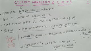 Ciliary Ganglion amp Oculomotor Nerve  1  Cranial Nerve  Neuro Anatomy  TCML [upl. by Ahseinet]