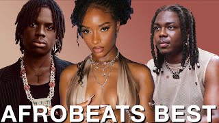 BEST OF NAIJA AFROBEATS 2024 VIDEO MIX AFROBEATS PARTY MIX  KENYA  TANZANIA  GHANA SOUTH AFRICA [upl. by Hotze72]