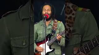 Ziggy Marley  One Love Live at PolAndRock Festival 2019 reggae viral video onelove [upl. by Nowujalo]