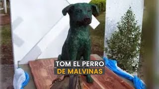 La historia heroica de Tom el perro de Malvinas [upl. by Ajar]