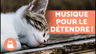 Musique RELAXANTE pour CHATS STRESSÉS 🐱💫 Détendez votre CHAT [upl. by Sherrill]