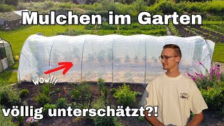 Mulchen im Garten  4 Vorteile Tipps amp Tricks Materialien [upl. by Ahseikram157]