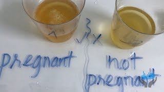 Home pregnancy test with lemon  Pregnancy Tips [upl. by Namsu]