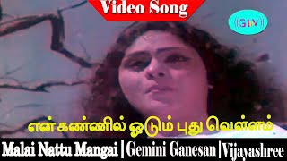 En kannil odum pudhu vellam song  Gemini Ganesan Vijayashree  Vedhpal Varma  Malai Nadu Mangai [upl. by Hashum234]