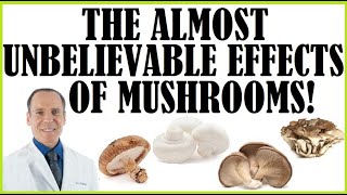 The Almost Unbelievable Effects Mushrooms With Dr Joel Fuhrman [upl. by Bekaj257]