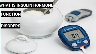 What is insulin hormone [upl. by Freedman]