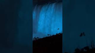 niagarafalls  FallsView  Changing Color shortvideo [upl. by Asta]