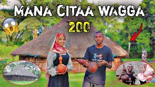 🛑Mana citaa waggaa dhibba lamaa 200 New oromo music Sefu on EBS oromo news [upl. by Ubald]