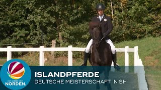 Deutsche Islandpferde Meisterschaft in Ehndorf bei Neumünster [upl. by Asilec]