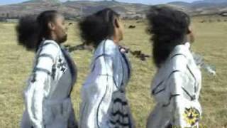 ethiopiamusic [upl. by Celle331]