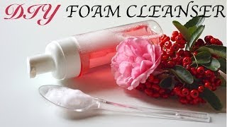 DIY Foam Facial Cleanser Homemade Face Wash [upl. by Ateloiv]