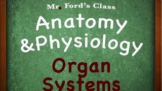 Introduction To Anatomy Physiology Organ Systems 0104 [upl. by Eninaej444]