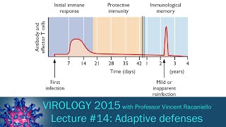 Virology 2015 Lecture 14 Adaptive defenses [upl. by Magdalene]