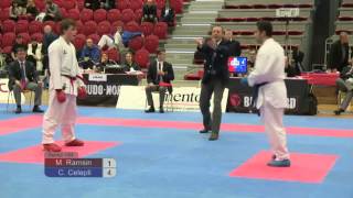 Karate SM Final 2012 Senior Herr 84 [upl. by Norud]