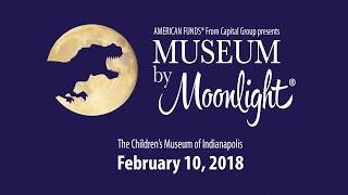 Museum by Moonlight 2017 Highlights [upl. by Howard809]