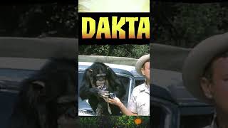 Daktari 1966 Serie Algunas Curiosidades retrotv tvshows [upl. by Elman213]