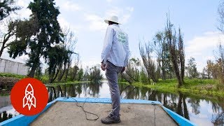 Fighting to Keep Mexico’s Floating Farms Alive [upl. by Ellehsat]