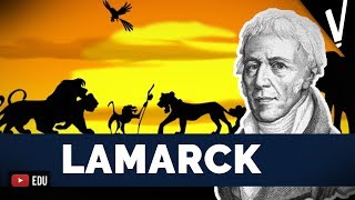 LAMARCK O PIONEIRO DA EVOLUÇÃO│ Ciências da Natureza [upl. by Ilrahs181]